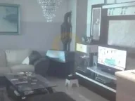 Sale, house, 800m², Momišići, Podgorica - image 10