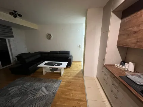 Izdavanje, jednosoban stan, 54m², Centar, Podgorica - image 6