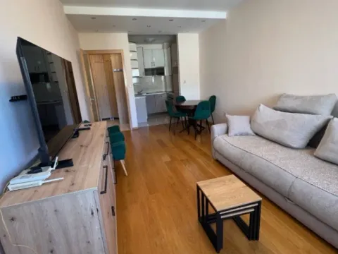 Izdavanje, jednosoban stan, 47m², Preko Morače, Podgorica - image 2