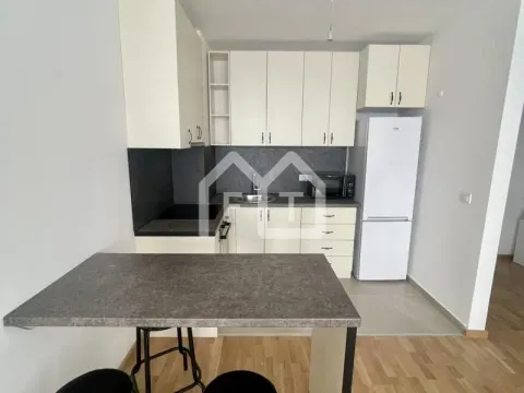 Izdavanje, dvosoban stan, 45m², Višnjička Banja, Palilula Sve Podlokacije - image 3