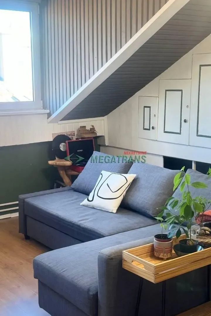 Rent, two bedroom apartment, 55m², Vračar Sve Podlokacije, Beograd