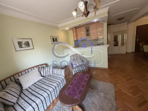Izdavanje, dvosoban stan, 46m², Bulevar Oslobodjenja, Novi Sad Sve Podlokacije - image 1