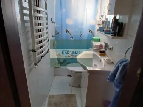 Prodaja, kuća, 240m², Jabučar, Kragujevac - image 6