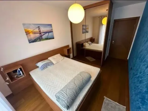 Rent, one bedroom apartment, 48m², Ljubović, Podgorica - image 6