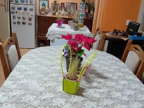 Prodaja, dvosoban stan, 78m², Liman 4, Novi Sad Sve Podlokacije - image 5