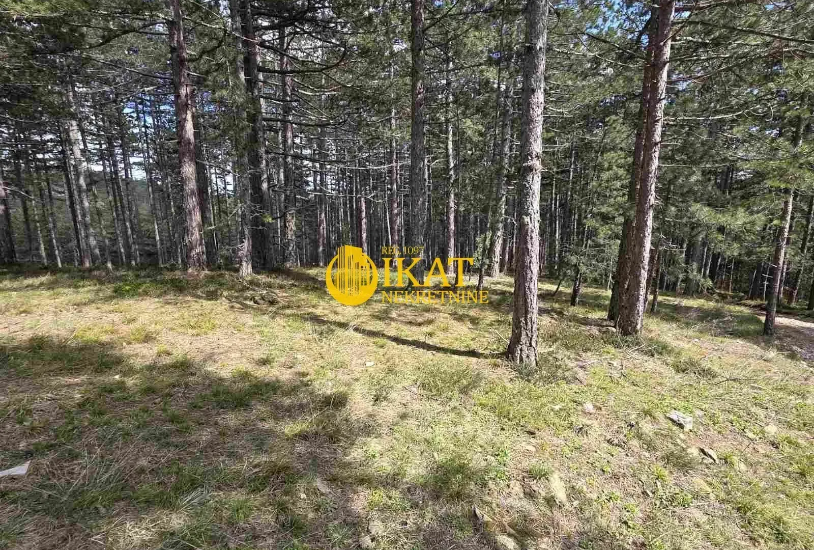 Prodaja, plac, 1272m², Tara, Srbija