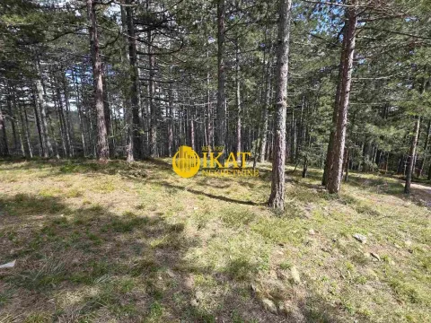 Prodaja, plac, 1272m², Tara, Srbija - image 5