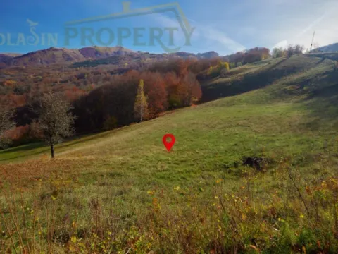 Prodaja, plac, 5000m², Kolašin, Crna Gora - image 6