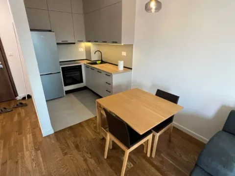 Izdavanje, jednosoban stan, 47m², Stari Aerodrom, Podgorica - image 6