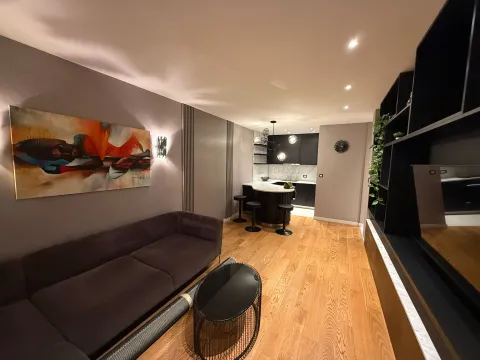 Izdavanje, jednosoban stan, 50m², Central Point, Podgorica - image 6