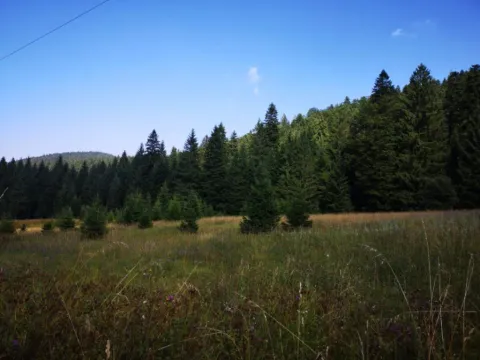 Prodaja, plac, 8600m², Tara, Srbija - image 12