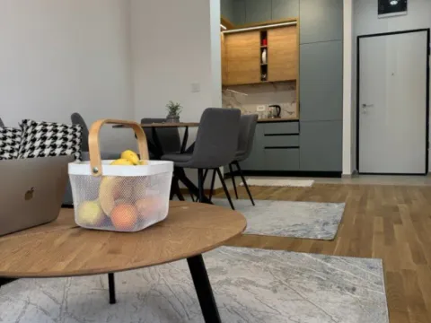 Izdavanje, jednosoban stan, 46m², Stari Aerodrom, Podgorica - image 8