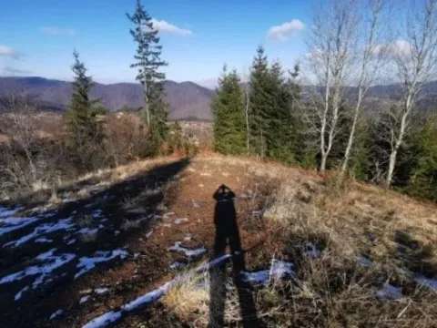 Sale, land lot, 4390m², Tara, Srbija - image 10