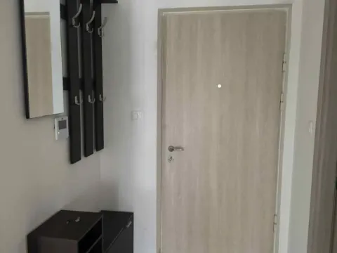 Izdavanje, jednosoban stan, 44m², Ljubović, Podgorica - image 6