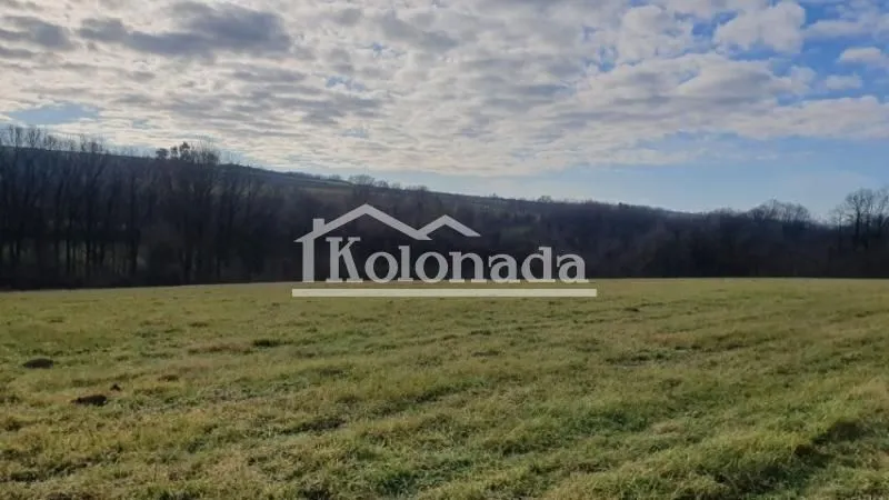 Prodaja, plac, 20300m², Dučina, Sopot