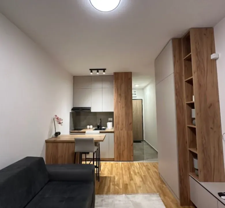 Izdavanje, garsonjera, 26m², Zabjelo, Podgorica