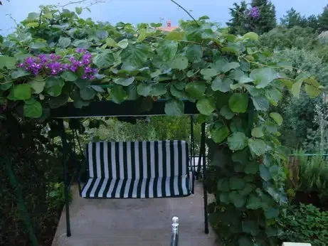 Prodaja, kuća, 172m², Tivat, Crna Gora - image 2