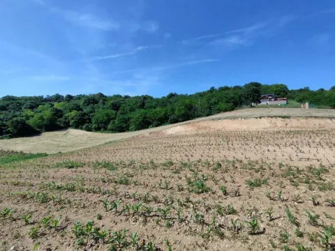 Prodaja, plac, 5600m², Novi Sad, Srbija - image 12