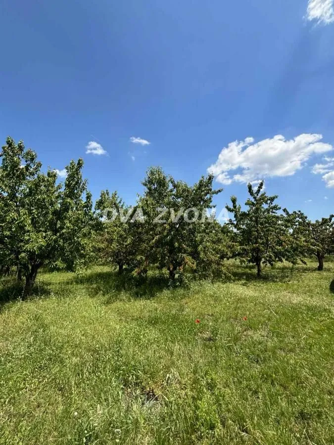 Prodaja, plac, 28700m², Novi Slankamen, Inđija