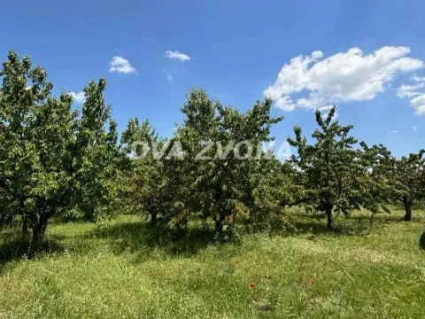 Prodaja, plac, 287m², Novi Slankamen, Inđija - image 8