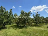 Sale, land lot, 287m², Novi Slankamen, Inđija - image 8