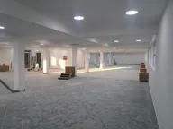 Izdavanje, poslovni prostor, 3300m², Altina, Beograd - image 6