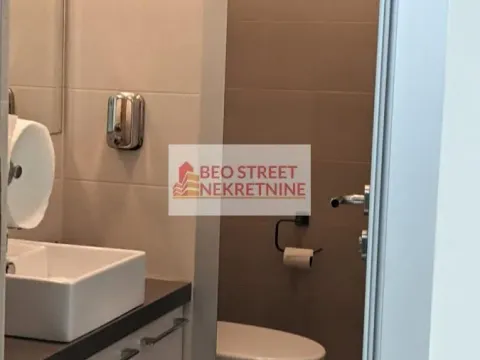 Izdavanje, poslovni prostor, 250m², Beograd, Srbija - image 11