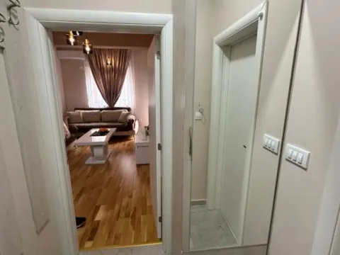 Izdavanje, jednosoban stan, 45m², Zabjelo, Podgorica - image 11