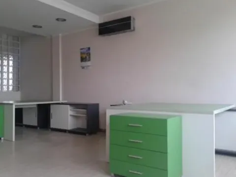 Izdavanje, poslovni prostor, 500m², Krnjaca, Palilula Sve Podlokacije - image 8