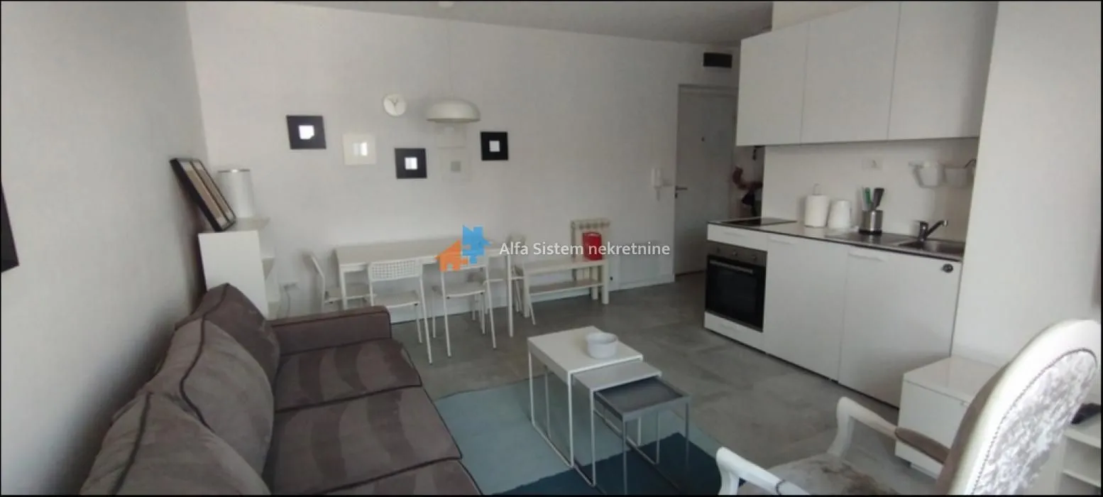 Izdavanje, dvosoban stan, 42m², Vračar Sve Podlokacije, Beograd