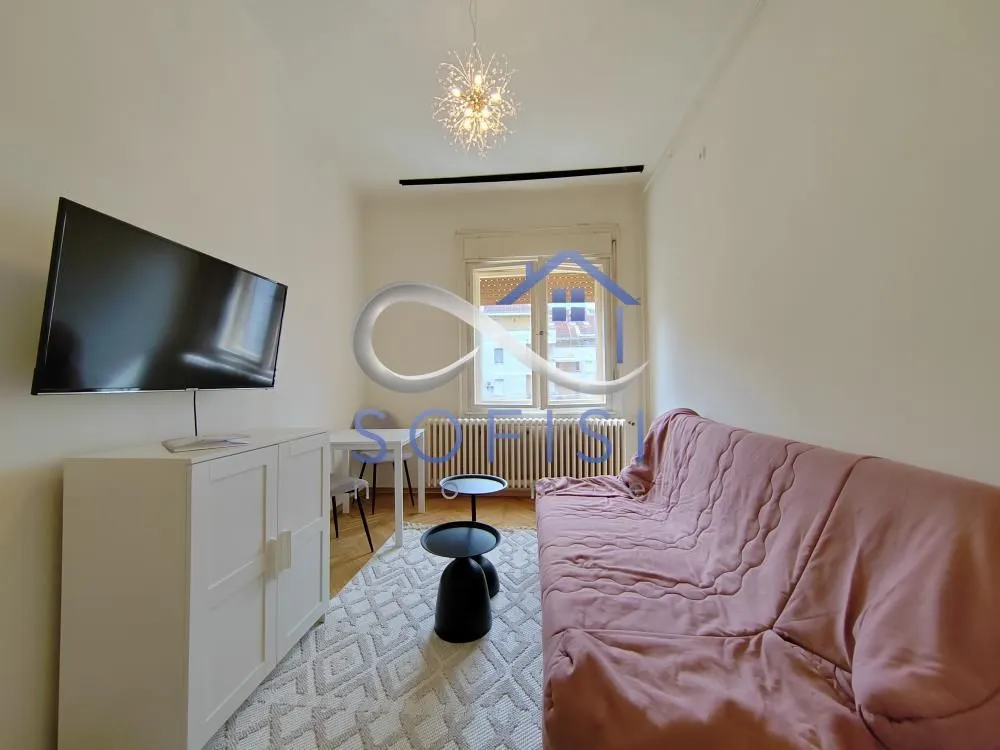 Izdavanje, jednosoban stan, 20m², Centar, Novi Sad