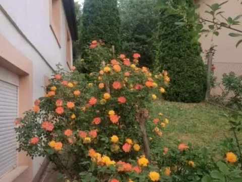 Sale, house, 341m², Grocka, Beograd - image 3