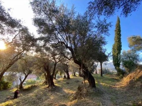 Sale, land lot, 3700m², Zaljevo, Bar - image 9