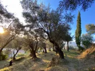 Prodaja, plac, 3700m², Zaljevo, Bar - image 9