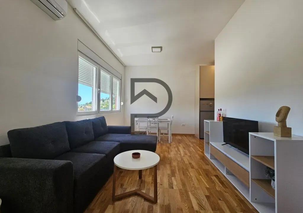 Izdavanje, jednosoban stan, 40m², Zagorič, Podgorica