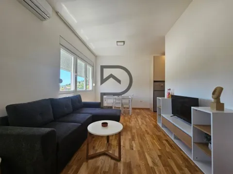 Izdavanje, jednosoban stan, 40m², Zagorič, Podgorica - image 1