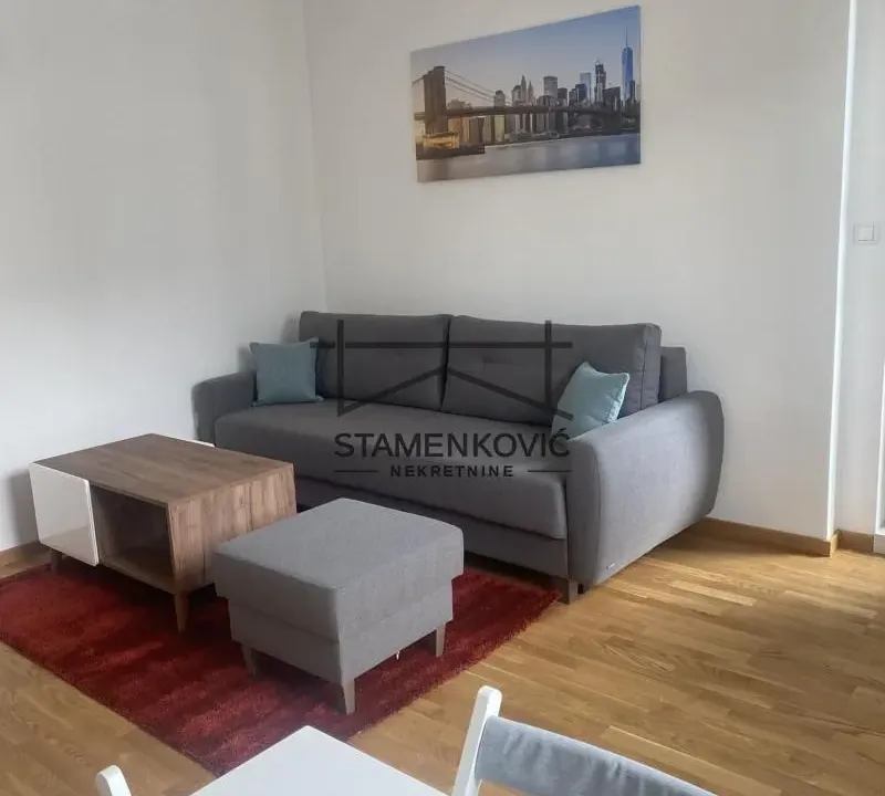 Izdavanje, dvosoban stan, 40m², Bulevar Evrope, Novi Sad Sve Podlokacije