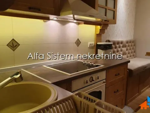 Izdavanje, dvosoban stan, 55m², Vračar Hram, Vračar Sve Podlokacije - image 11