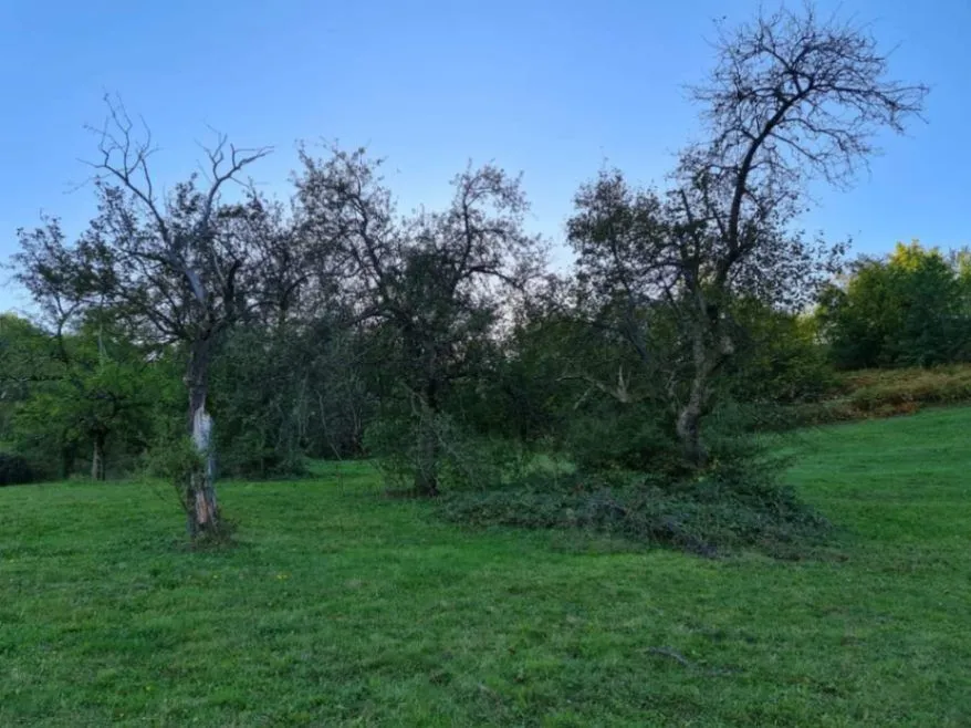 Prodaja, plac, 64450m², Rasadnik, Bijelo Polje