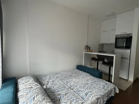 Stan-na-dan, garsonjera, 26m², Master Kvart, Podgorica - image 5