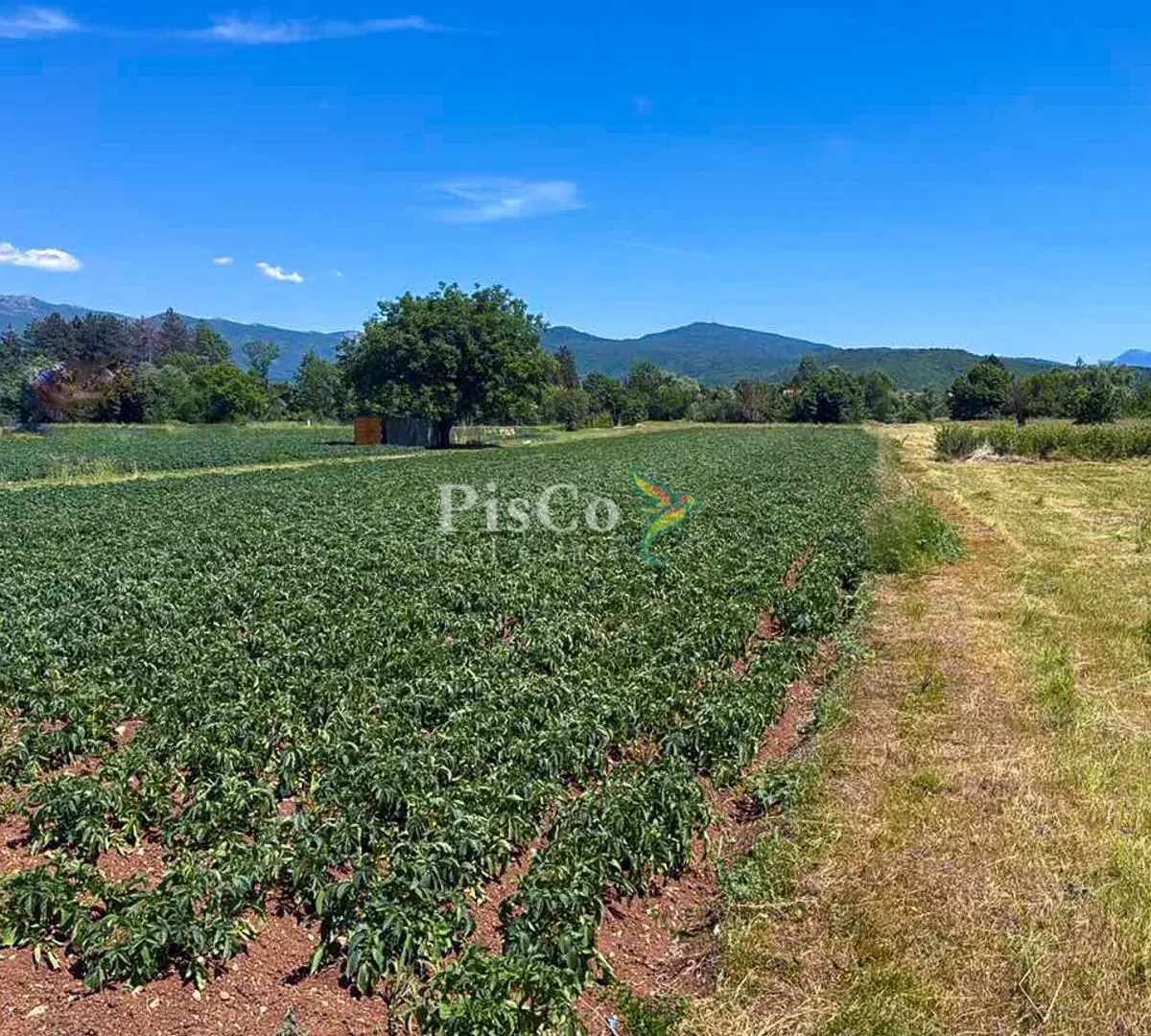 Prodaja, plac, 6077m², Nikšić, Crna Gora