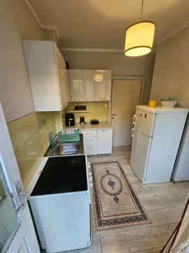 Manja svijetla kuhinja sa bijelim elementima i šporetom. - image 3
