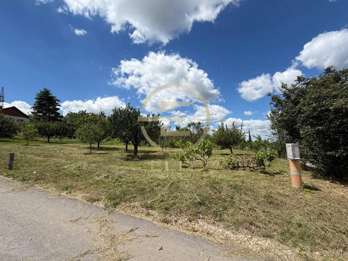Prodaja, plac, 550m², Bocke, Petrovaradin