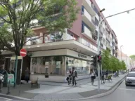 Izdavanje, poslovni prostor, 550m², Zemun Sve Podlokacije, Beograd - image 2