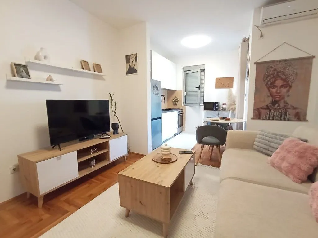 Izdavanje, jednosoban stan, 47m², Vezirov Most, Podgorica