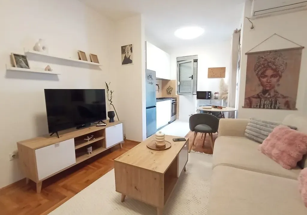 Rent, one bedroom apartment, 47m², Vezirov Most, Podgorica