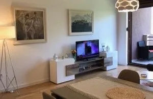 Pregledni dnevni boravak sa namještajem, televizorom i izlazom na terasu. - image 3