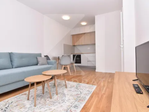 Izdavanje, jednosoban stan, 40m², Tuški Put, Podgorica - image 3