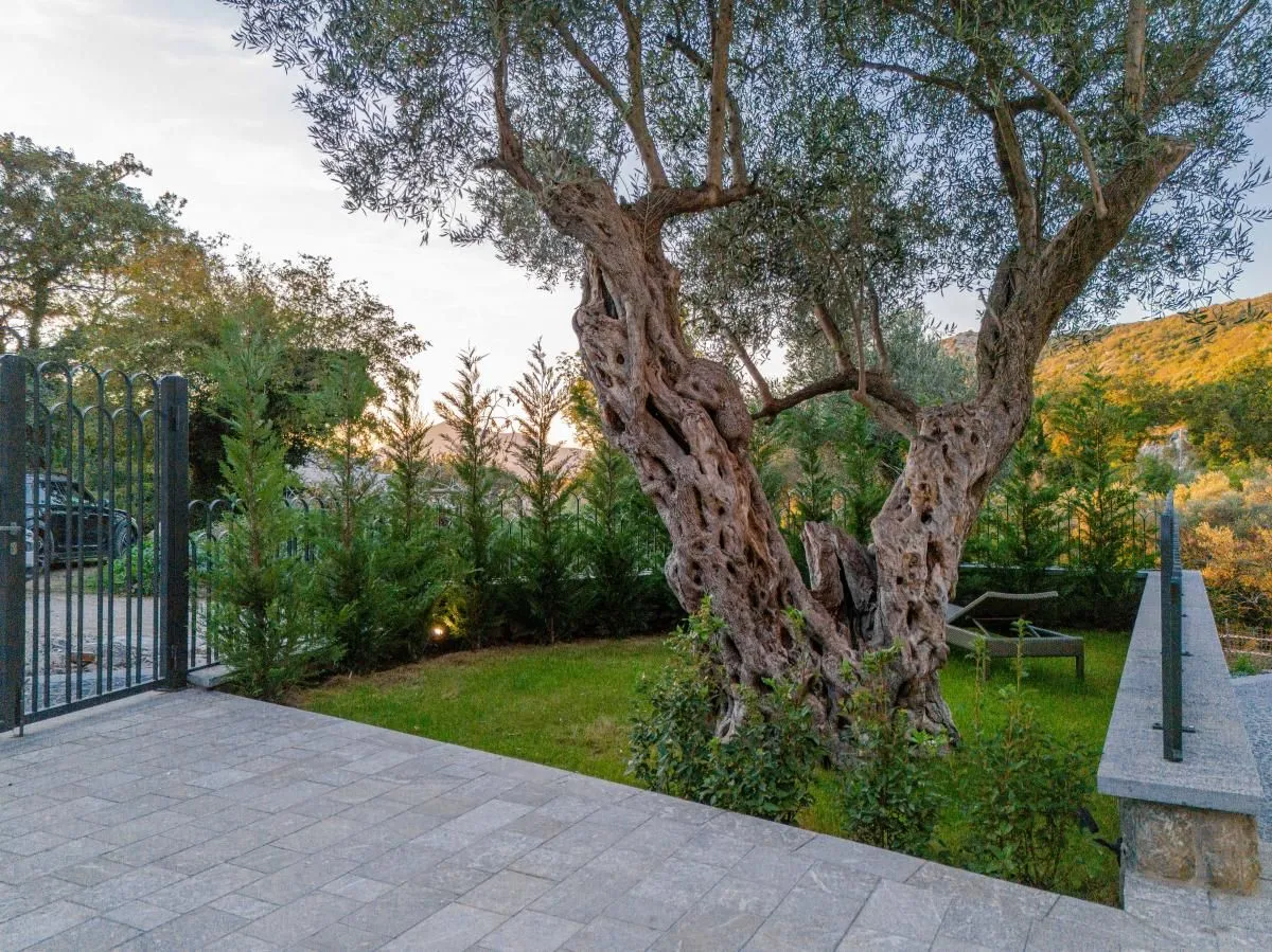 Prodaja, kuća, 240m², Budva, Crna Gora