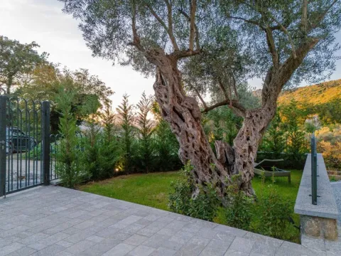 Prodaja, kuća, 240m², Budva, Crna Gora - image 56